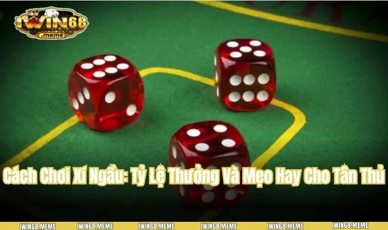 Cách Chơi Xí Ngầu: Tỷ Lệ Thưởng Và Mẹo Hay Cho Tân Thủ